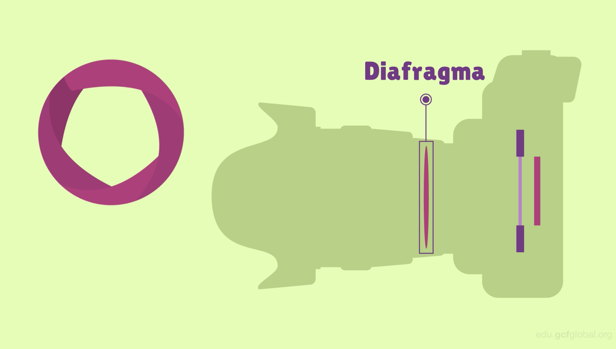 El Diafragma abre o cierra el orificio por donde ingresa la luz.